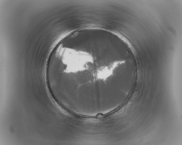 X0000115661333200912101043