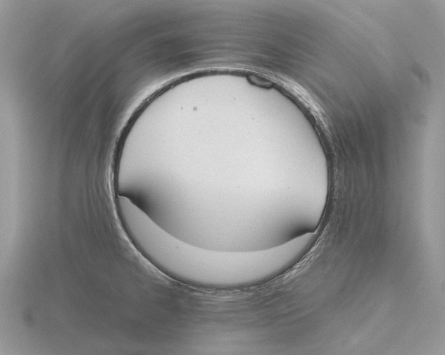 X0000115661334200912101043