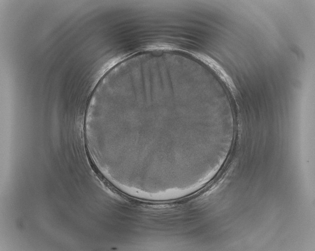 X0000115661337200912101043