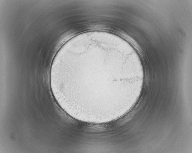 X0000115661338200912101043