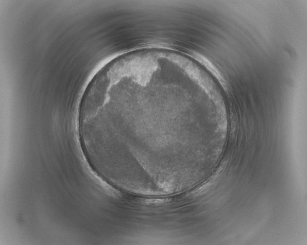 X0000115661339200912101043