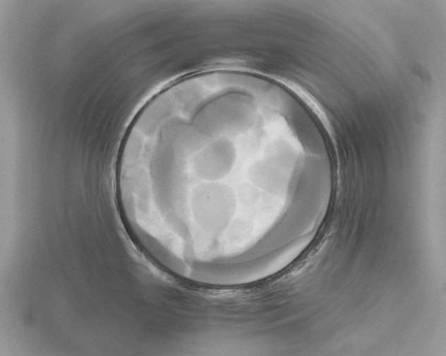 X0000115661341200912101043