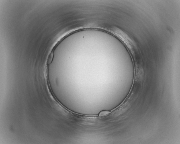 X0000115661342200912101043