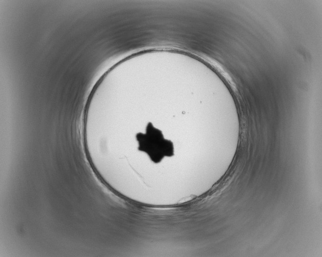 X0000115661343200912101043