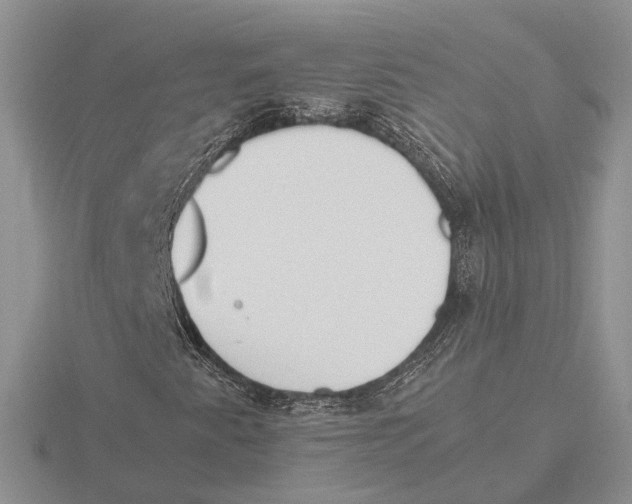 X0000115661345200912101043