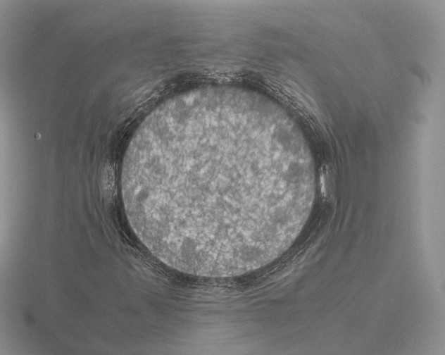 X0000115661347200912101043