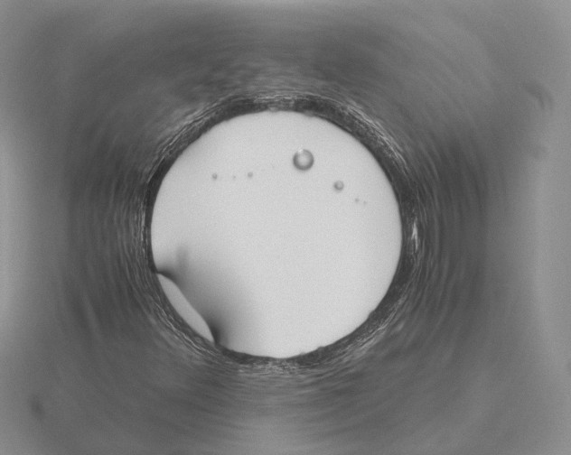 X0000115661348200912101043