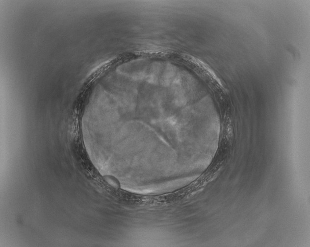 X0000115661350200912101043