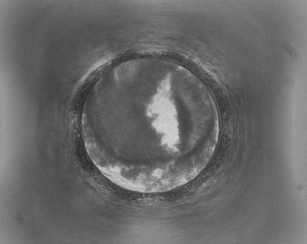 X0000115661351200912101043