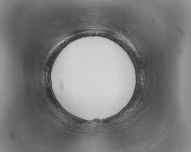 X0000115661352200912101043