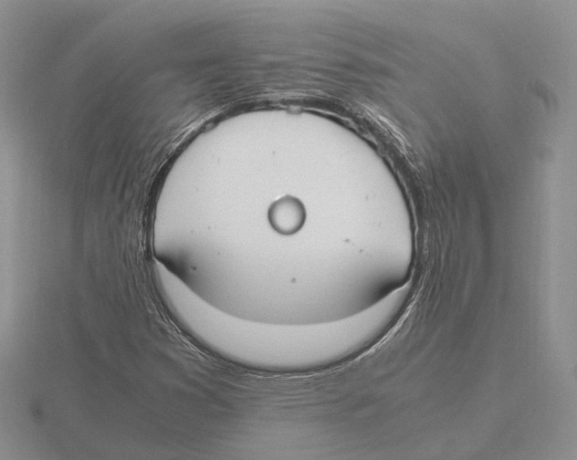 X0000115661353200912101043