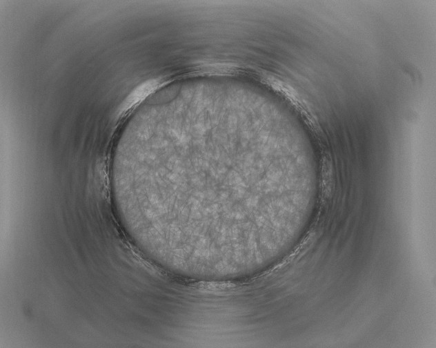 X0000115661354200912101043