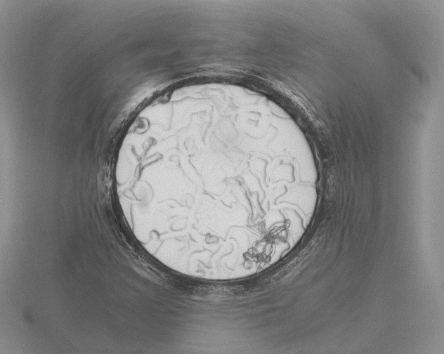 X0000115661355200912101043