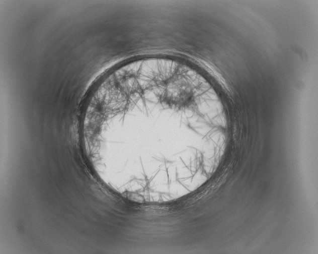 X0000115661356200912101043