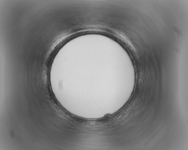 X0000115661360200912101043