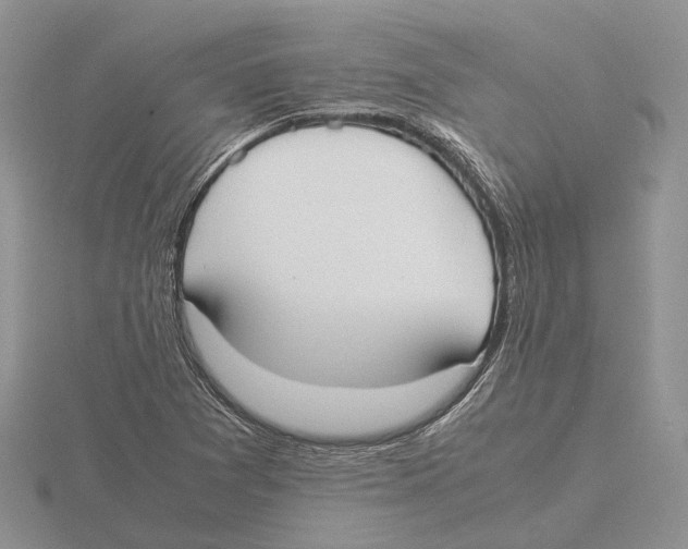 X0000115661361200912101043