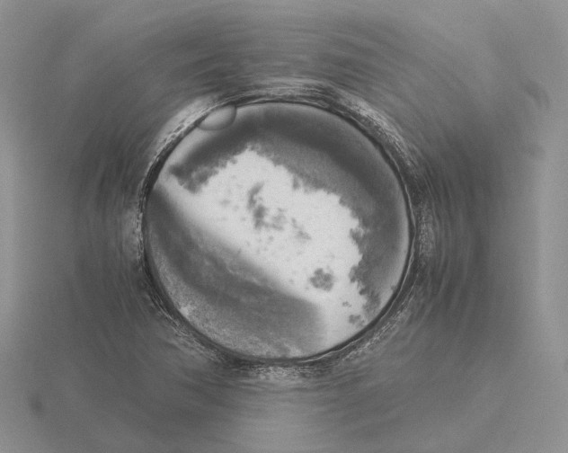 X0000115661362200912101043