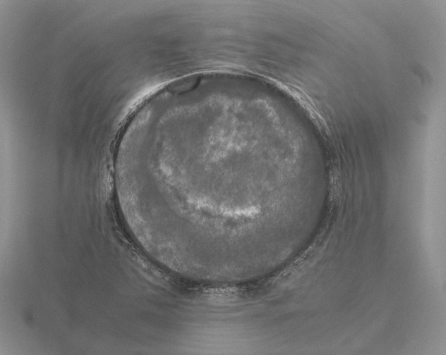 X0000115661363200912101043