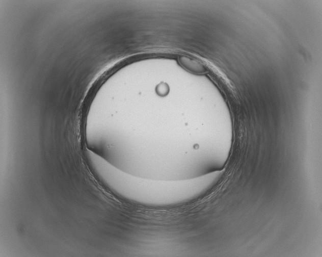 X0000115661364200912101043