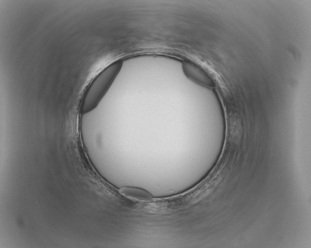 X0000115661365200912101043