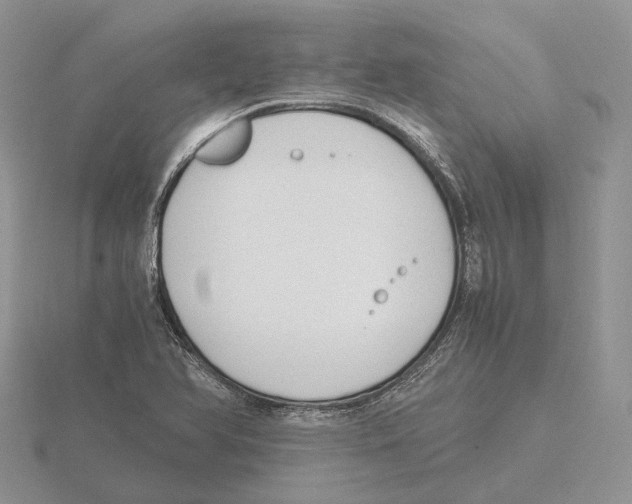 X0000115661366200912101043