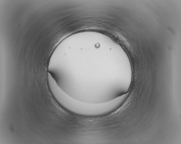 X0000115661369200912101043