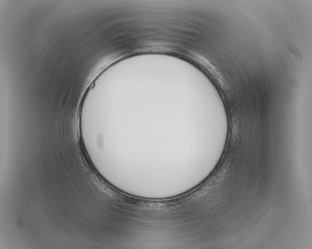 X0000115661370200912101043