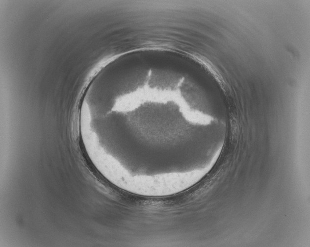 X0000115661371200912101042