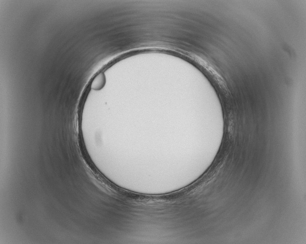 X0000115661372200912101042