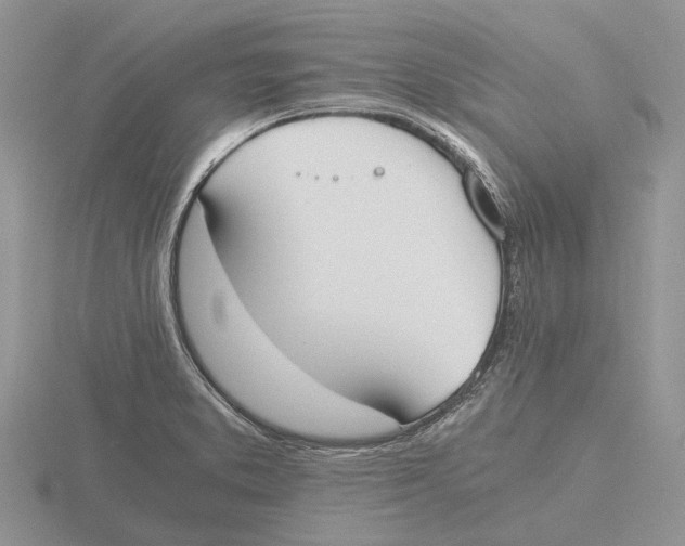 X0000115661373200912101042