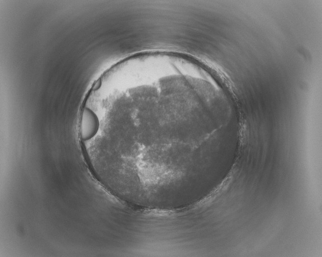 X0000115661374200912101042