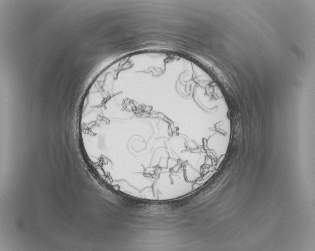 X0000115661375200912101042