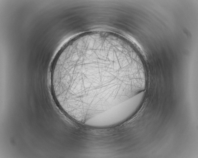 X0000115661376200912101042