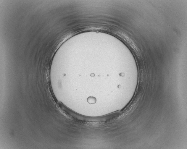 X0000115661377200912101042