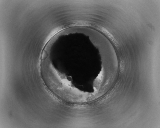 X0000115661378200912101042