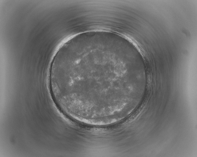 X0000115661379200912101042