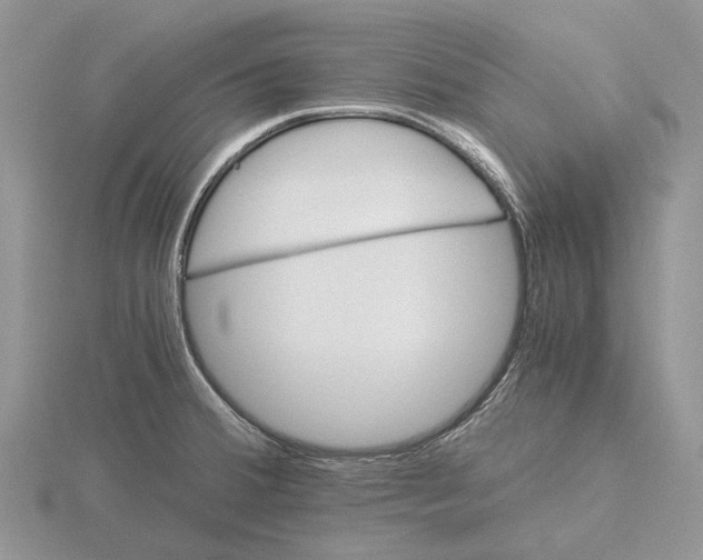 X0000115661380200912101042