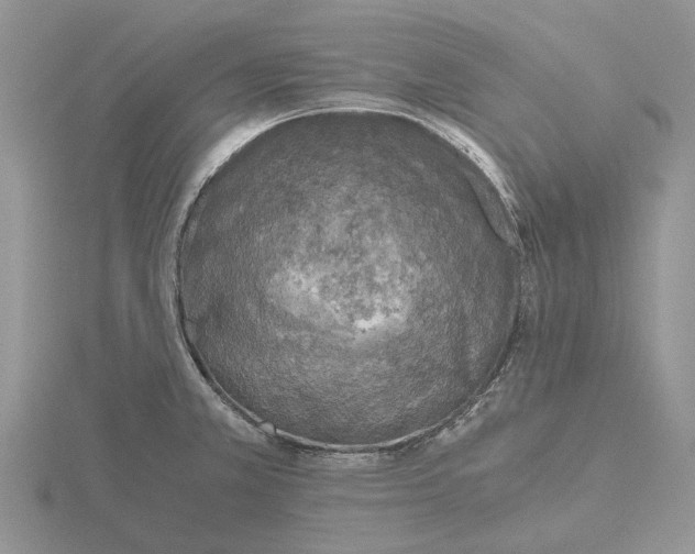 X0000115661381200912101042