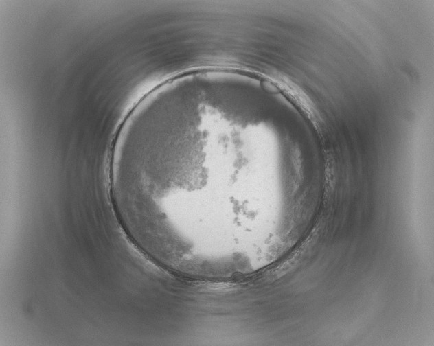 X0000115661382200912101042