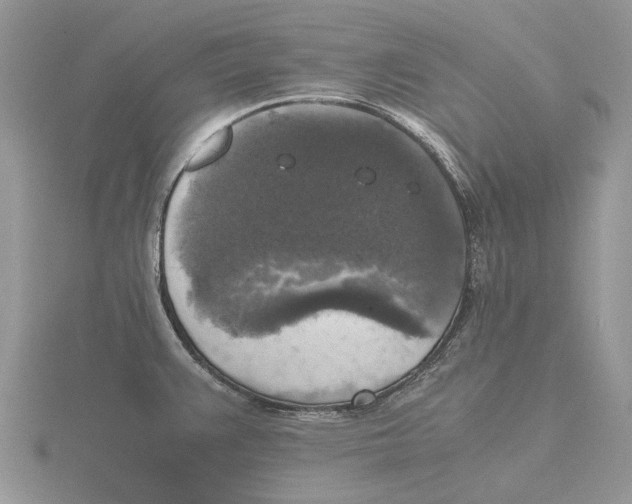 X0000115661383200912101042