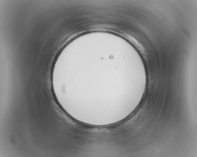 X0000115661384200912101042