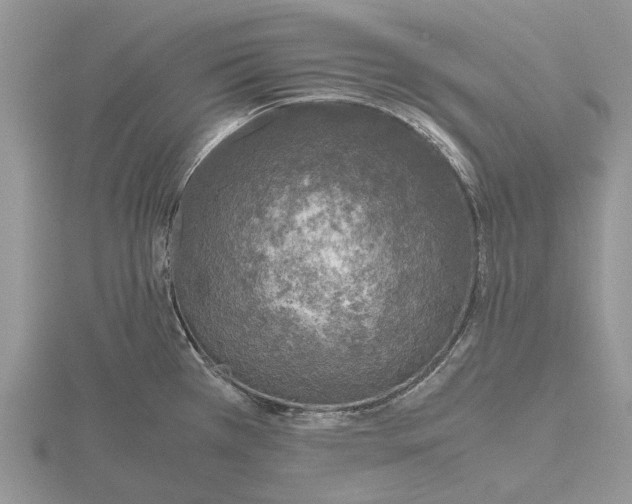 X0000115661385200912101042