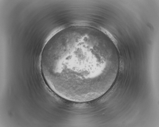 X0000115661386200912101042