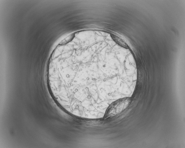 X0000115661387200912101042