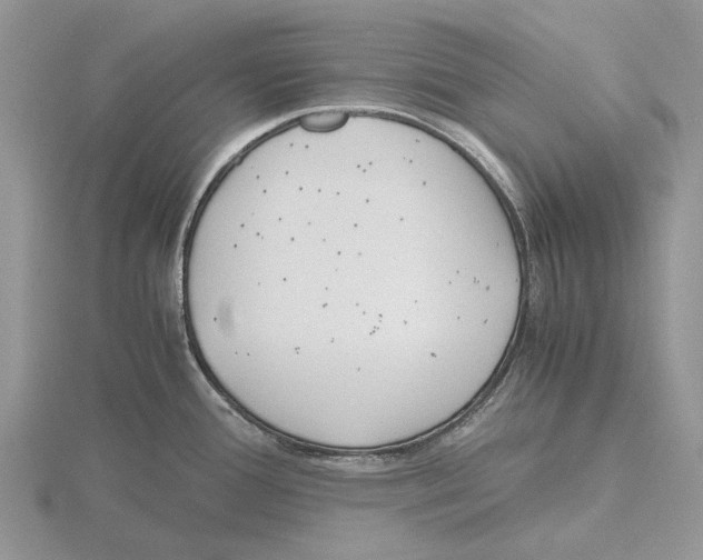 X0000115661388200912101042