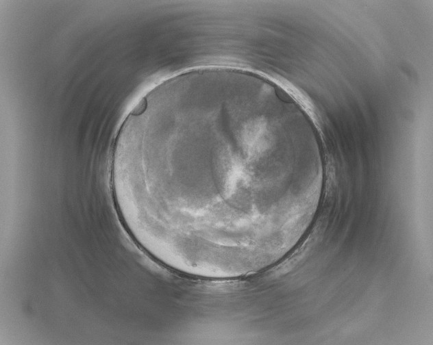 X0000115661390200912101042