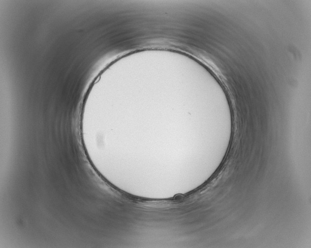 X0000115661392200912101042