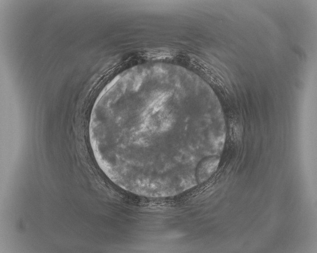 X0000115661393200912101041