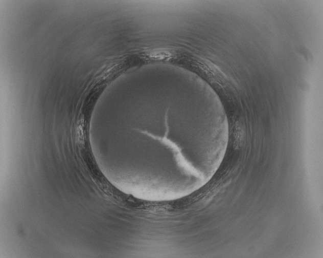 X0000115661394200912101041