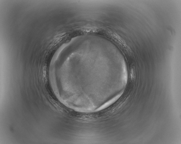 X0000115661396200912101041